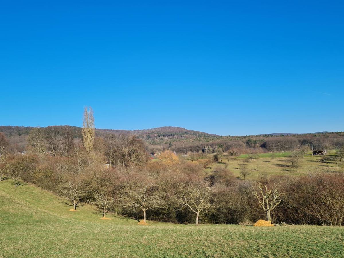 Geisfeld Hof 63アパートメント エクステリア 写真